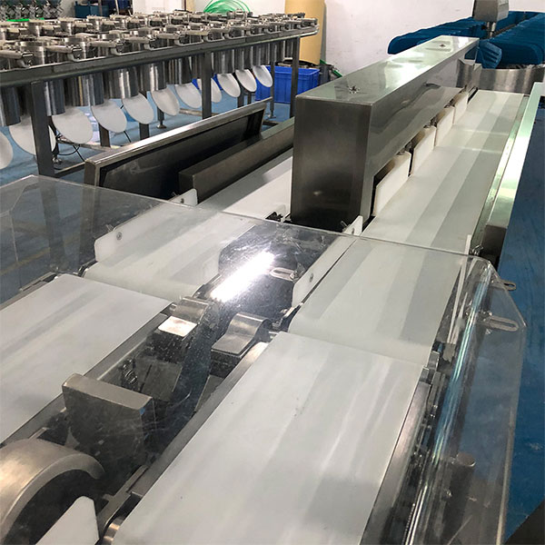 Clasificador De Peso Con Bandejas Giratorias